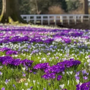 비아그라 사이트 검색 가이드 의약품 정보 확인 체크리스트