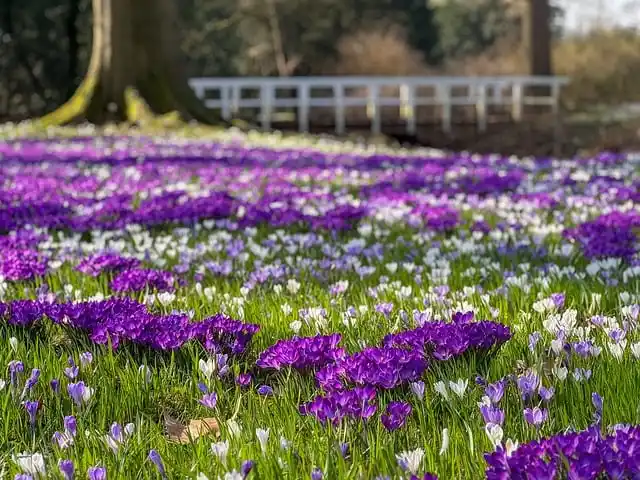 비아그라 사이트 검색 가이드 의약품 정보 확인 체크리스트